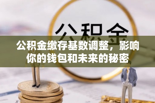 普陀公积金缴存基数调整，影响你的钱包和未来的秘密