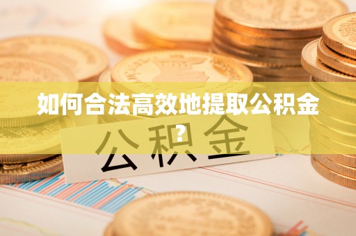 普陀如何合法高效地提取公积金？