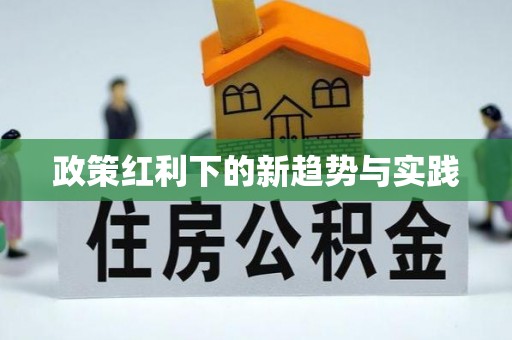 普陀政策红利下的新趋势与实践