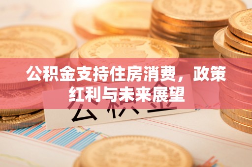 普陀公积金支持住房消费，政策红利与未来展望