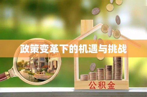 普陀政策变革下的机遇与挑战
