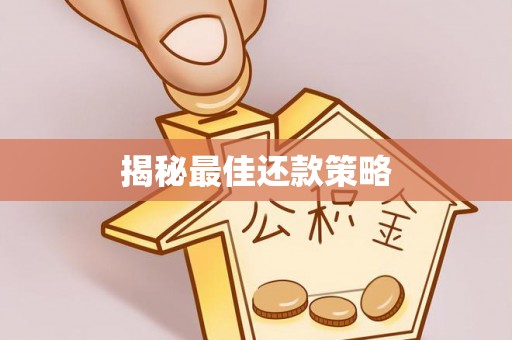普陀揭秘最佳还款策略
