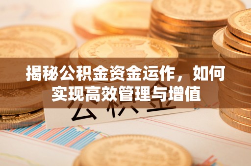 普陀揭秘公积金资金运作，如何实现高效管理与增值