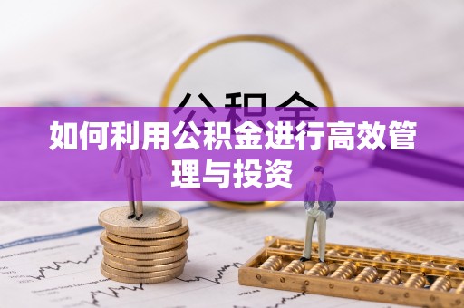 普陀如何利用公积金进行高效管理与投资