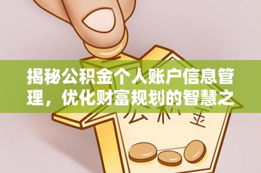 普陀揭秘公积金个人账户信息管理，优化财富规划的智慧之选