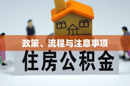 普陀政策、流程与注意事项