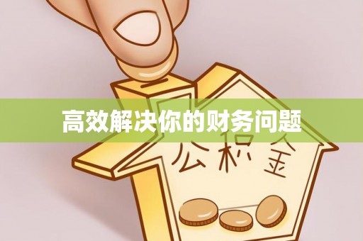 普陀高效解决你的财务问题