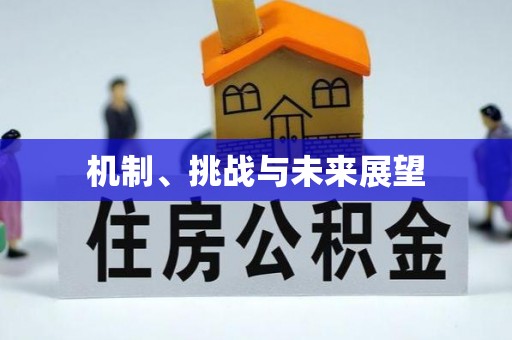 普陀机制、挑战与未来展望